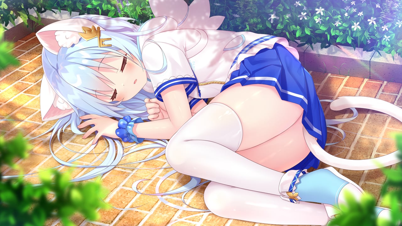 NEKO-MIMI SWEET HOUSEMATES Vol. 1